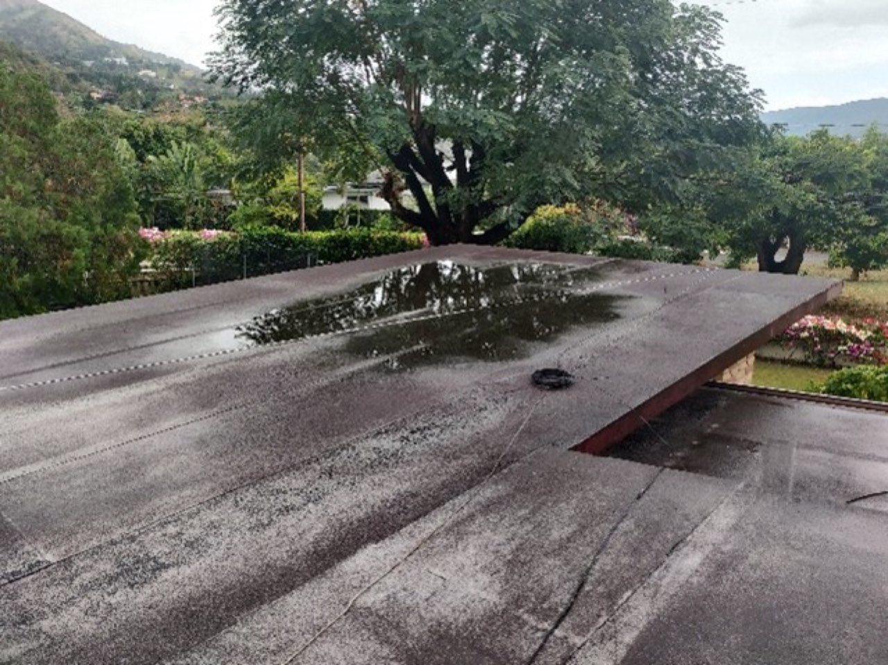 Residential Structural Assessments — roof ponding and leaks