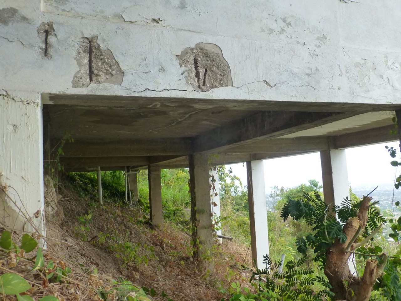 Residential Structural Assessments — suspended slab assessment