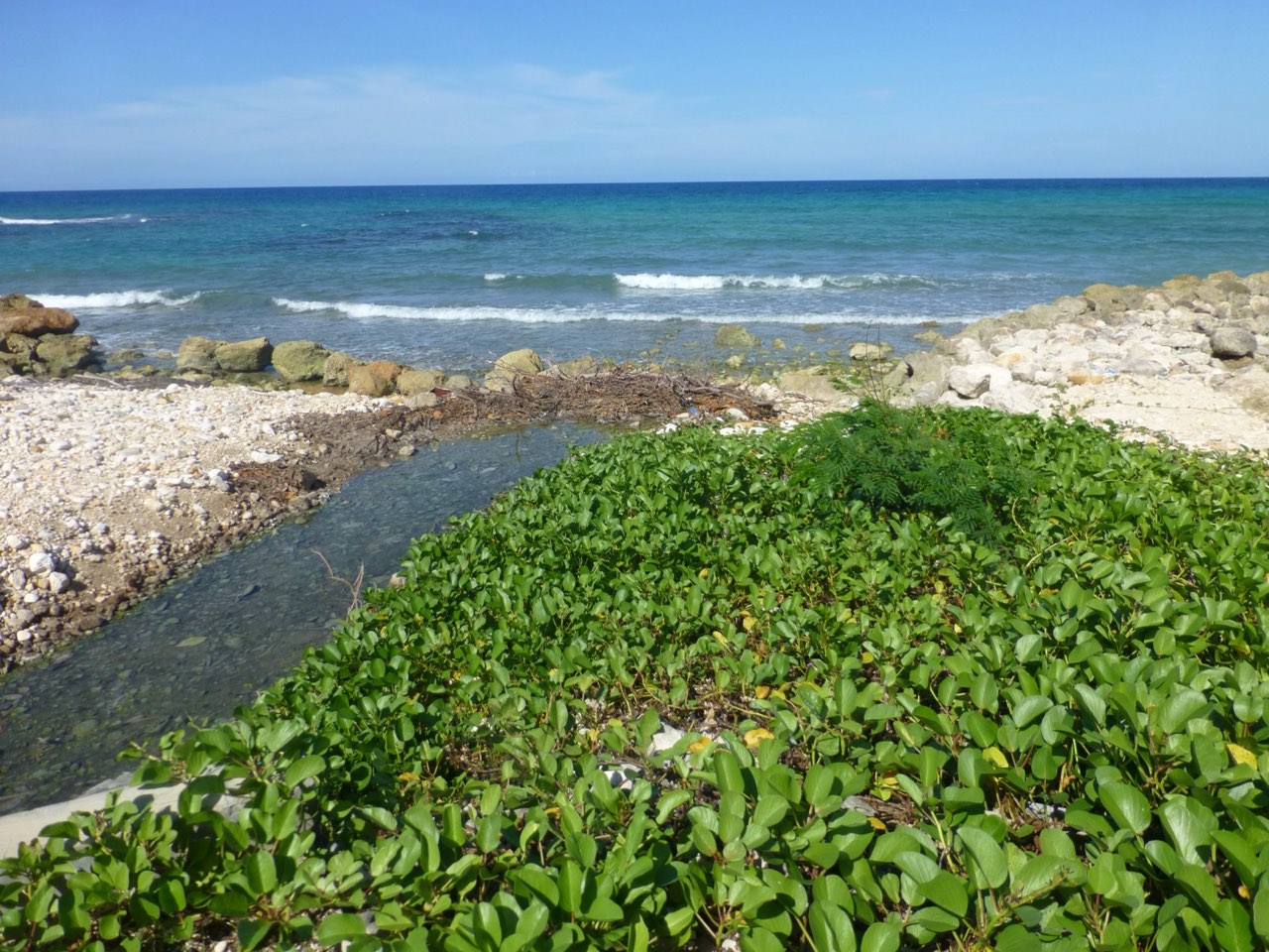Stormwater Drainage and Earthworks Assessments — coastal drainage outfall