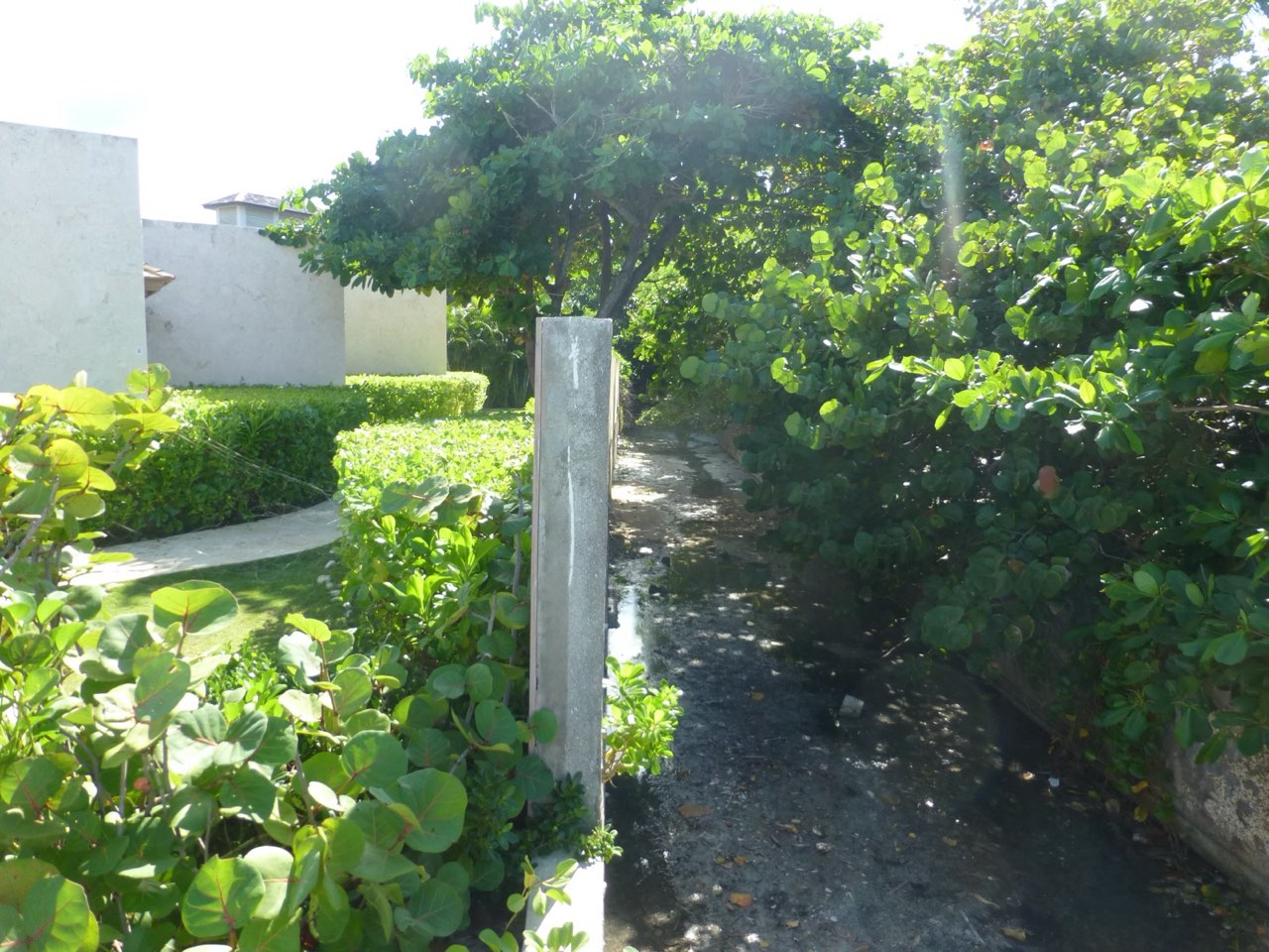 Stormwater Drainage and Earthworks Assessments — drainage channel